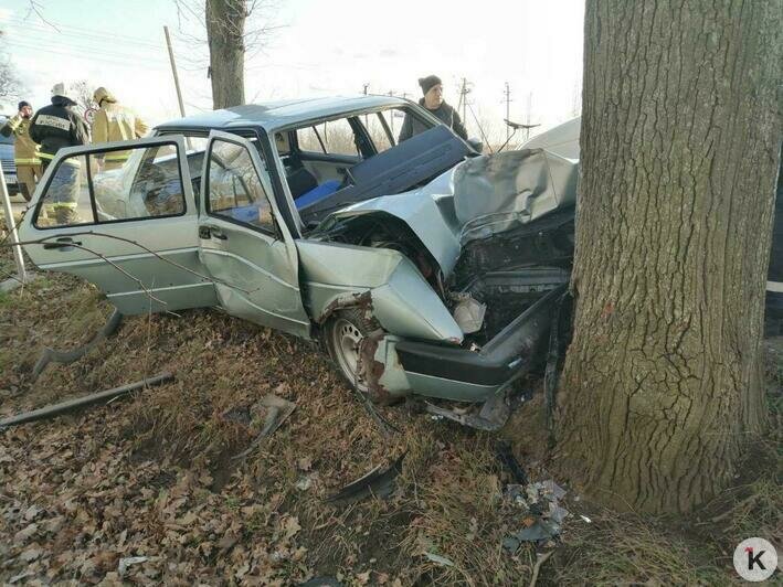 Под Калининградом Volkswagen врезался в дерево, водитель погиб (фото) - Новости Калининграда | Фото очевидца