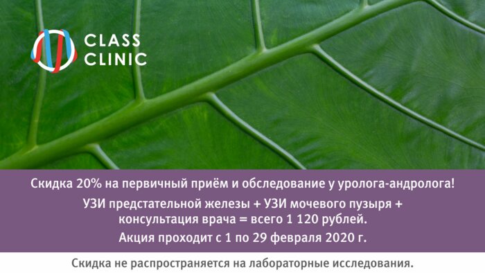 Девять дней до завершения акции: приём уролога-андролога и два УЗИ всего за 1120 рублей - Новости Калининграда