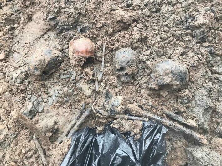 У Кафедрального собора рабочие нашли скелеты минимум пяти человек (фото) - Новости Калининграда | Фото: очевидец