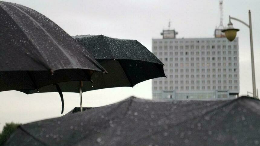 Синоптики рассказали о погоде в регионе на неделю - Новости Калининграда | Архив &quot;Клопс&quot;