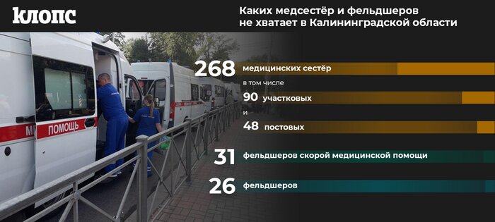 В региональном минздраве рассказали, каких врачей не хватает в области (инфографика)   - Новости Калининграда