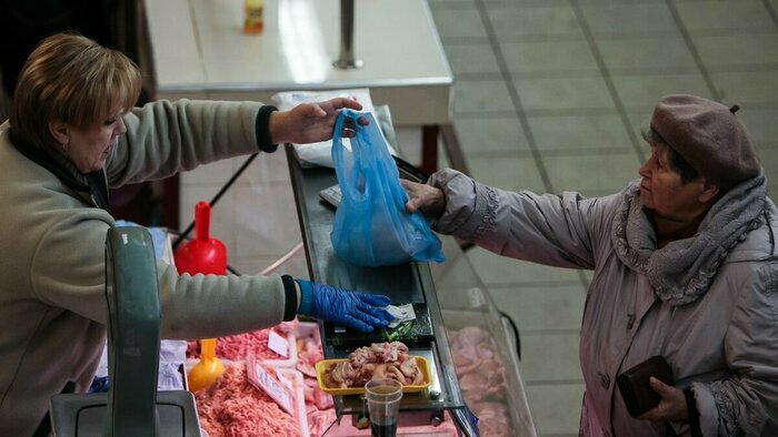 Пластик vs бумага: стоит ли заменять пакеты в магазинах — мнения экологов - Новости Калининграда | Архив &quot;Клопс&quot;