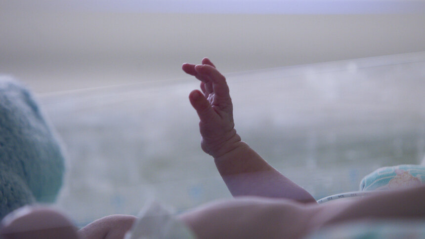 ПФР с 3 марта начал оформление маткапитала за первого и второго ребенка - Новости Калининграда | Архив &quot;Клопс&quot;