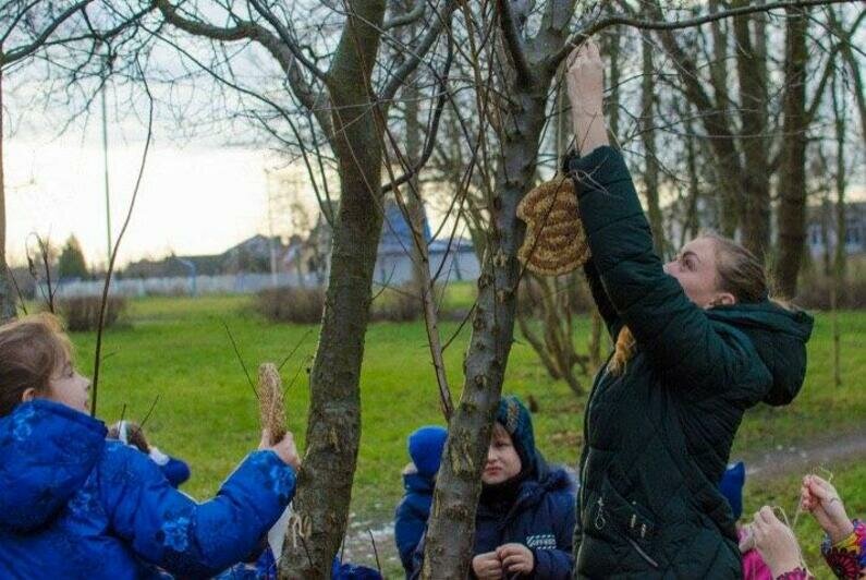 В Калининграде установили кормушки из зёрен и семян для птиц - Новости Калининграда