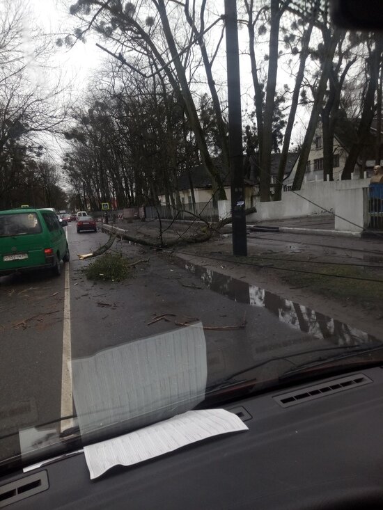 Что ураганный ветер натворил в Калининградской области (фото, видео) - Новости Калининграда | Фото: очевидец