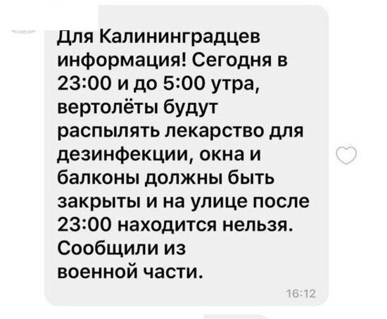 В Сети появился фейк, что в Калининграде с вертолёта будут распылять лекарство против коронавируса - Новости Калининграда | Скриншот переписки