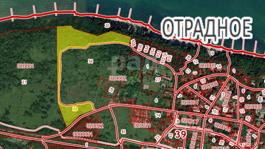 В Светлогорске на аукцион выставили почти 32 га земли - Новости Калининграда | Скриншот кадастровой карты