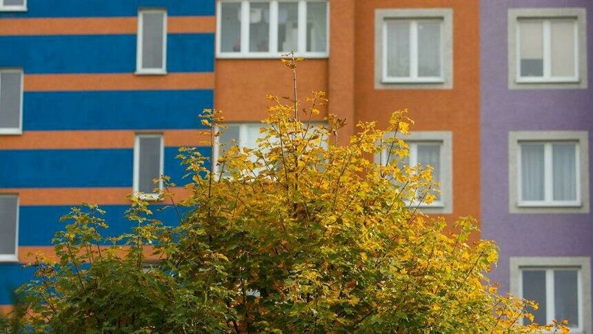 Калининградка разбилась, выпав с седьмого этажа высотки в Центральном районе   - Новости Калининграда | Фото: Архив &quot;Клопс&quot;