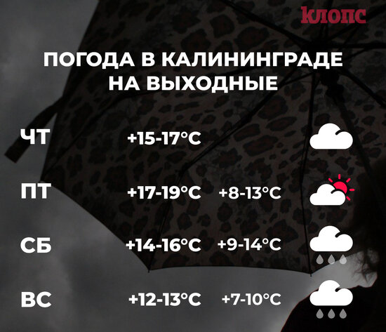 Синоптики пообещали дождливые выходные в Калининграде  - Новости Калининграда