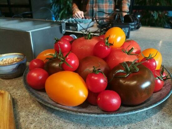 Калининградский шеф-повар: помидоры вкуснее с кисло-сладким соусом и кинзой - Новости Калининграда | Фото: &quot;Клопс.Подкасты&quot;