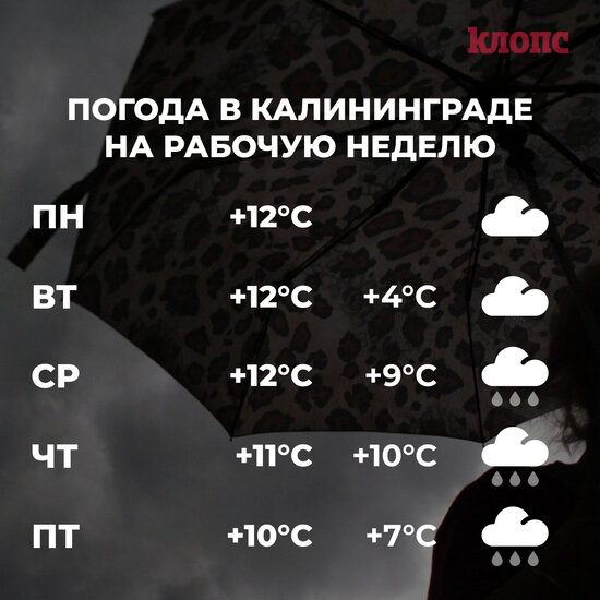 Синоптики спрогнозировали прохладную и дождливую рабочую неделю в Калининграде - Новости Калининграда