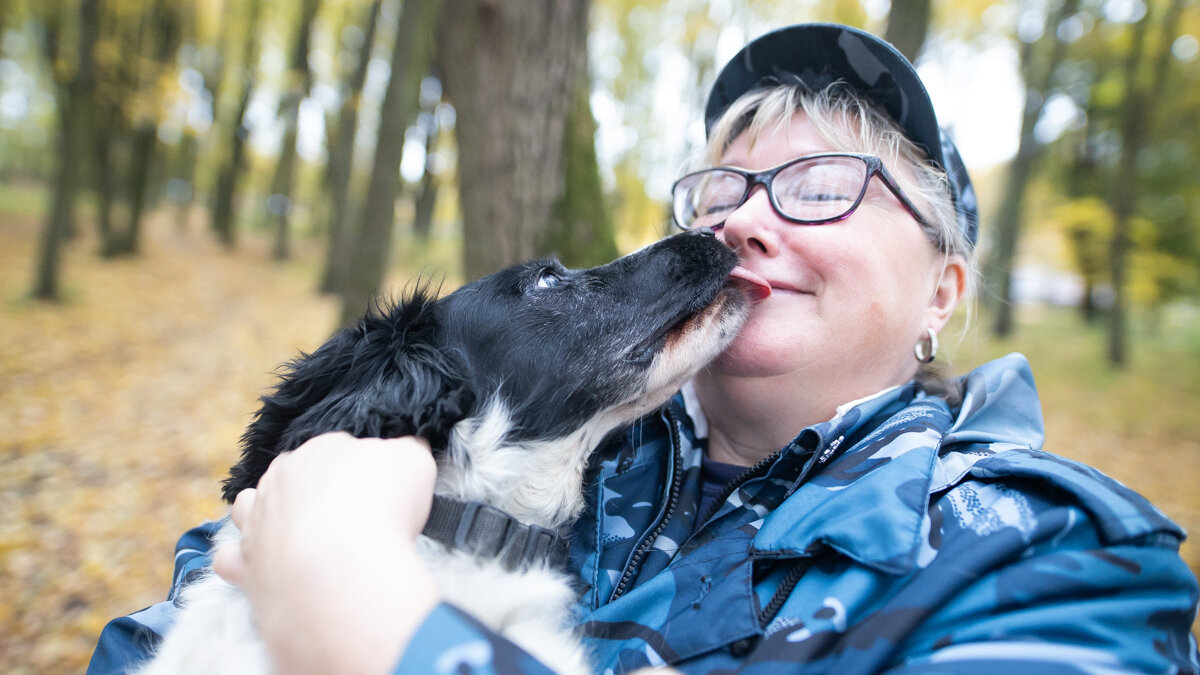 Язык тела собаки: как понять питомца? | Hill's Pet