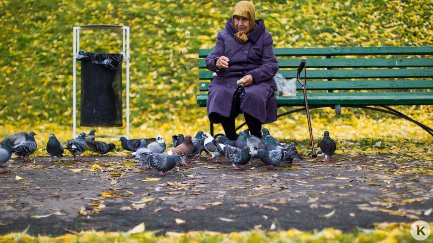 В Калининграде пересчитали долгожителей (инфографика) - Новости Калининграда | Фото: Архив &quot;Клопс&quot;