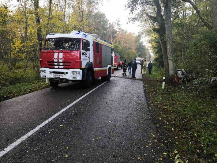 На Куршской косе 22-летняя водитель не справилась с управлением, машина врезалась в дерево - Новости Калининграда | Фото: Очевидцы