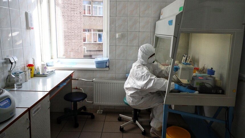 Симптомы и скорость заражения: как отличить грипп от коронавируса - Новости Калининграда