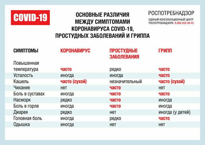 Симптомы и скорость заражения: как отличить грипп от коронавируса - Новости Калининграда | Фото: региональный Роспотребнадзор