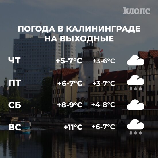 Синоптики рассказали о погоде в Калининграде на выходные - Новости Калининграда