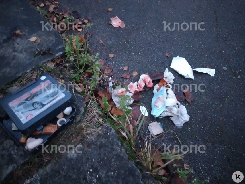 УМВД: число пострадавших в ЧП в Холмогоровке увеличилось до восьми - Новости Калининграда | Юрате Пилюте
