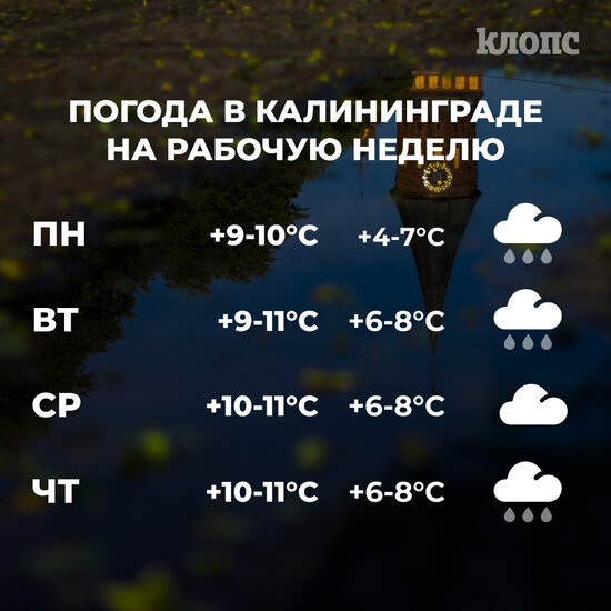 Синоптики рассказали о погоде в Калининграде на рабочую неделю - Новости Калининграда