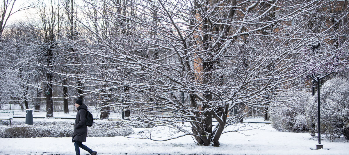 И снова выпадет снег. Калининград выпал снег. Мартовский снег картинки. Калининград в конце апреля фото. Снег в Калининграде фото из окна.