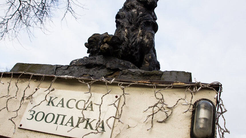 В зоопарке Калининграда с 23 по 27 ноября закроют вход со стороны Чайковского - Новости Калининграда | Фото: архив &quot;Клопс&quot;