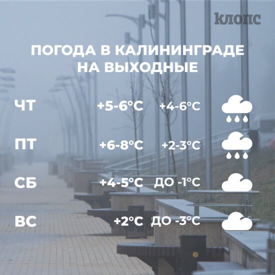 Синоптики рассказали о погоде в Калининграде на последние выходные ноября - Новости Калининграда