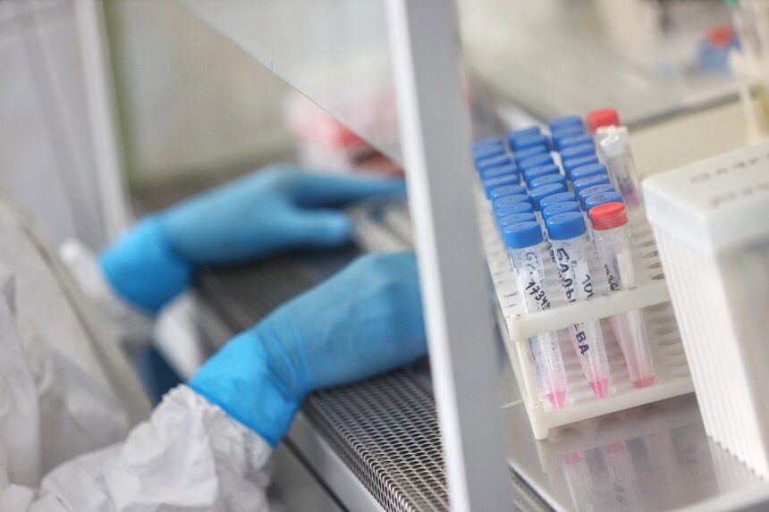 В Калининградской области сделали первые 34 прививки от коронавируса - Новости Калининграда | Архив &quot;Клопс&quot;