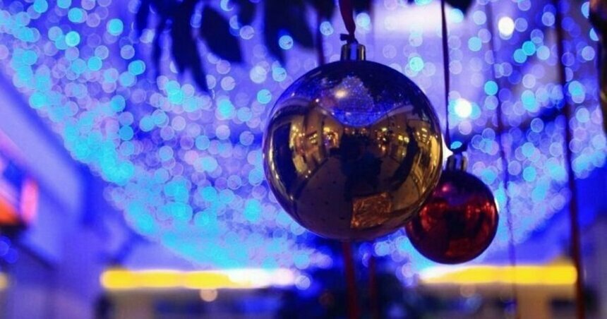 В Калининграде не будут ставить срубленные ели на Новый год - Новости Калининграда | Архив &quot;Клопс&quot;