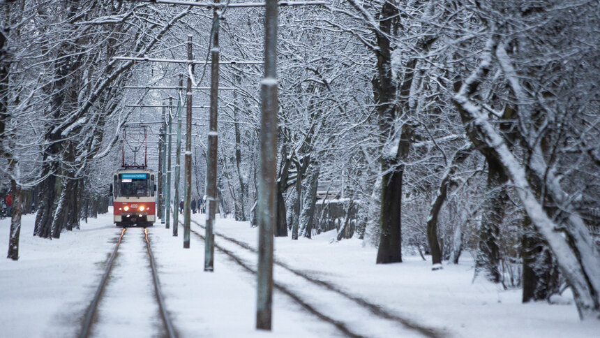 Синоптик рассказала, какой в Калининграде будет первая половина зимы - Новости Калининграда | Фото: архив &quot;Клопс&quot;