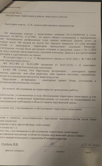 Общественный инспектор зарегистрировал в Росприроднадзоре акт | Фото: Виктор Олейник