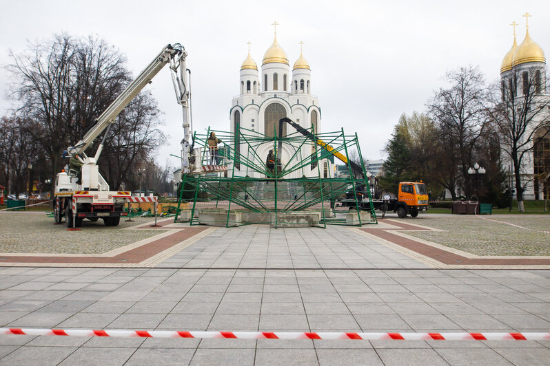 В Калининграде начали устанавливать главную новогоднюю ёлку (фото) - Новости Калининграда | Фото: Александр Подгорчук / &quot;Клопс&quot;