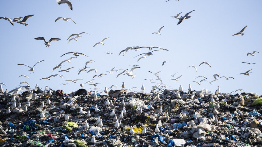 Цифровая утилизация: как технологии помогают следить за мусорными полигонами и вывозом отходов - Новости Калининграда