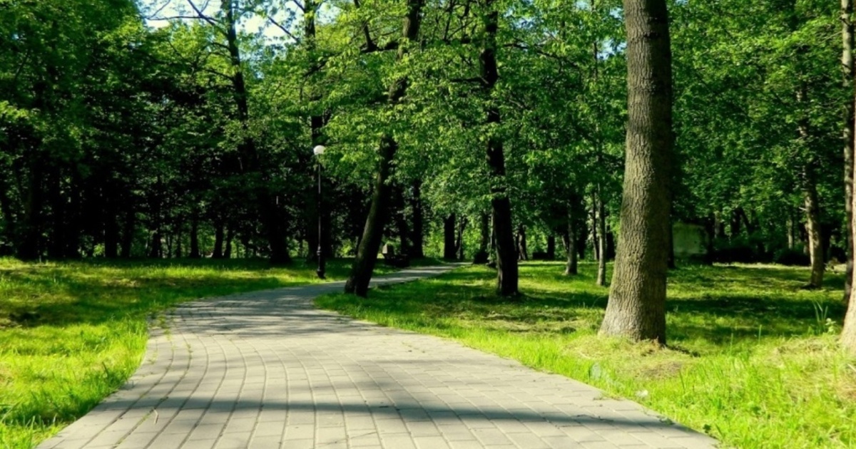 Городской парк в зеленоградске