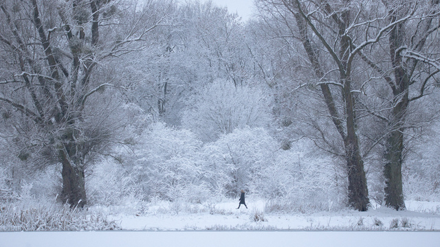 Сугробы, снеговики, синицы: зимний фоторепортаж 
