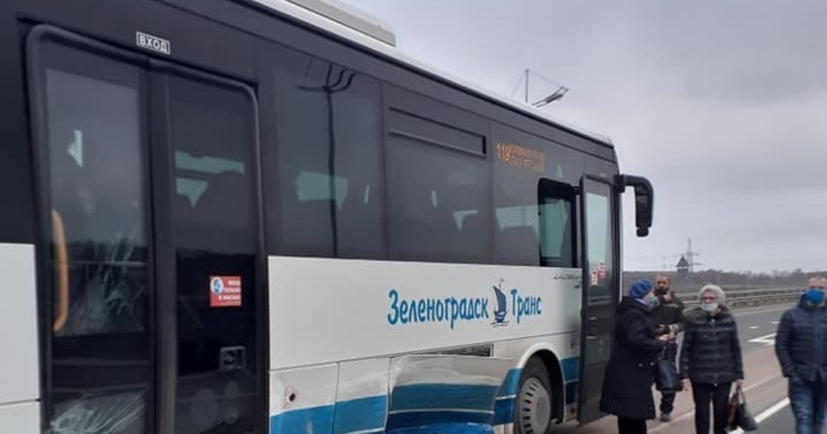 Новые автобусы в калининграде 2024. Автобусы Калининград. Рейсовые автобусы Калининград. Автобус Пионерский Калининград. Калининград автобус ДТП.