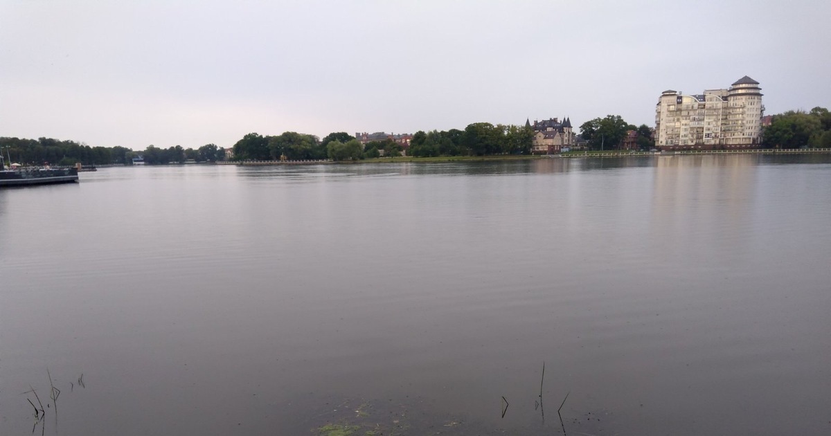 Гибнущее озеро. Озеро верхний кабан. Утки на Нижнем озере в Калининграде. Пляж на Верхнем озере Калининград. Озеро о дор Бельгия.
