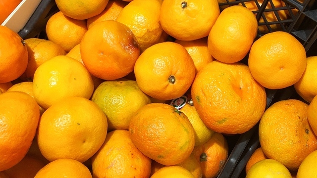 Кислые, сладкие, из Африки и Европы: какие мандарины продают в Калининграде и чем они отличаются