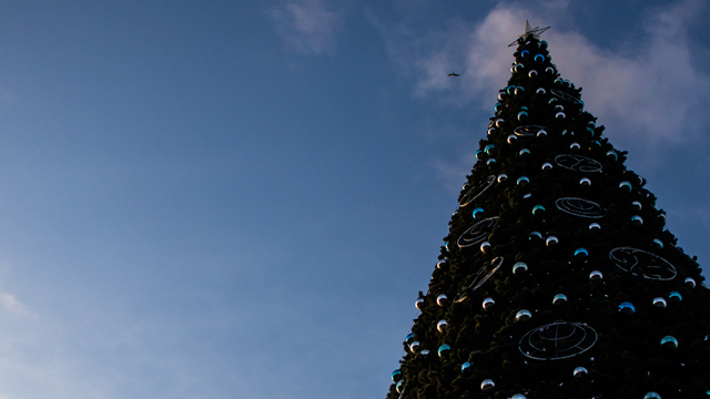 Главную новогоднюю ёлку Калининграда планируют заменить в 2022 году