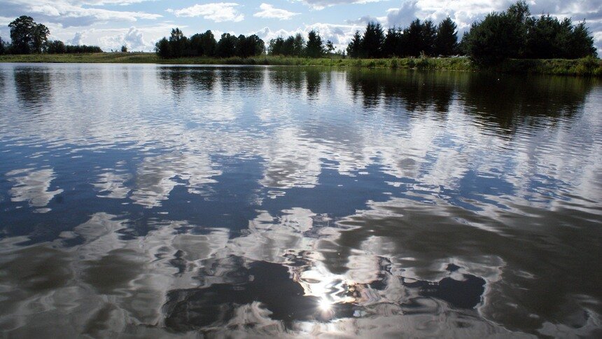 В Калининграде этим летом разрешили купаться ещё в одном озере ...