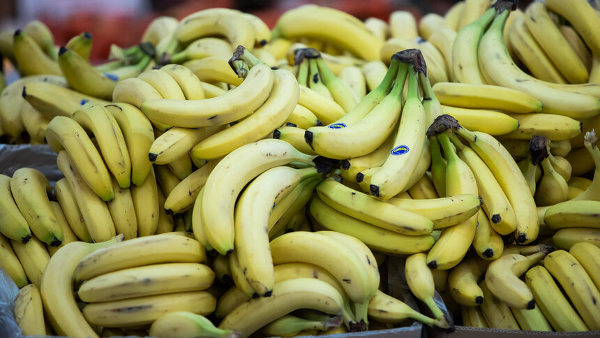 Диетолог рассказала, что будет с организмом, если есть бананы каждый день - Новости Калининграда | Фото: архив &quot;Клопс&quot;