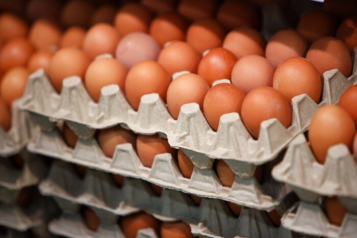 Заграничное зерно и ажиотаж: производители и ретейлеры рассказали, почему в Калининграде дорожают яйца - Новости Калининграда