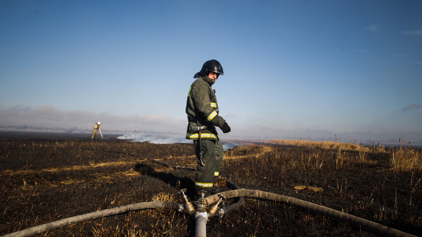 В Калининградской области за сутки потушили почти полсотни палов травы - Новости Калининграда | Архив &quot;Клопс&quot;