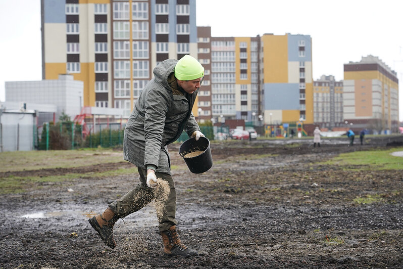 Работа на сельме в калининграде