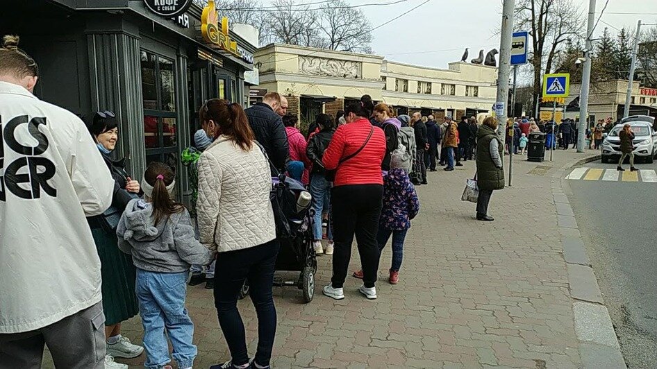 На входе в Калининградский зоопарк собралась очередь из сотни людей (фото, видео) - Новости Калининграда | Фото очевидца