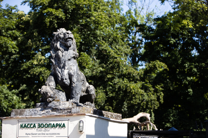 В Калининградском зоопарке рассказали, как будут решать проблему очередей на кассе - Новости Калининграда | Фото: Архив &quot;Клопс&quot;