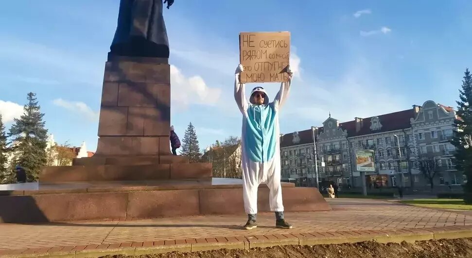 Тюлень в центре Калининграда напомнил, как вести себя при встрече с ластоногими (видео) - Новости Калининграда