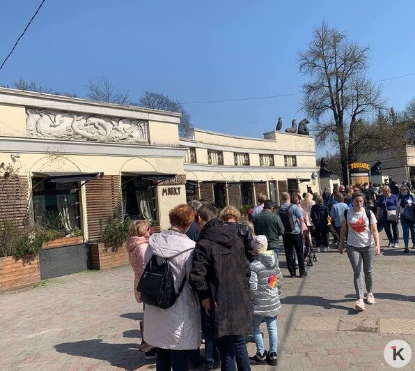 На входе в Калининградский зоопарк вновь собралась очередь из десятков посетителей - Новости Калининграда | Фото очевидца