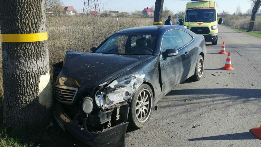 В калининградском СНТ Mercedes врезался в дерево, пострадала пассажирка - Новости Калининграда | Фото: очевидец
