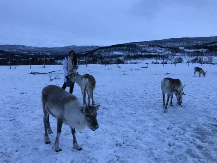 Финское турагентство отправляло девушку на работу в Норвегии | Фото: Даяна Атажанова