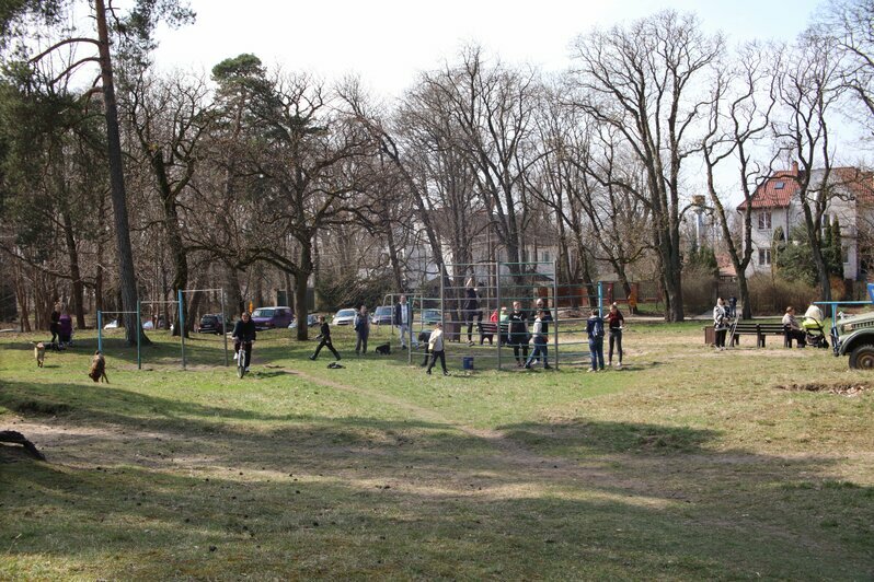 Праздник весны: калининградцы привели в порядок парк Теодора Кроне - Новости Калининграда | Фото: Архив &quot;Клопс&quot;